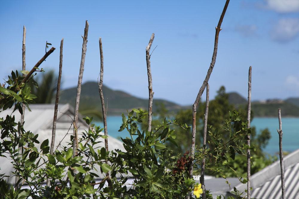 Cocobay Resort Antigua (Adults Only) Johnson's Point Exteriör bild