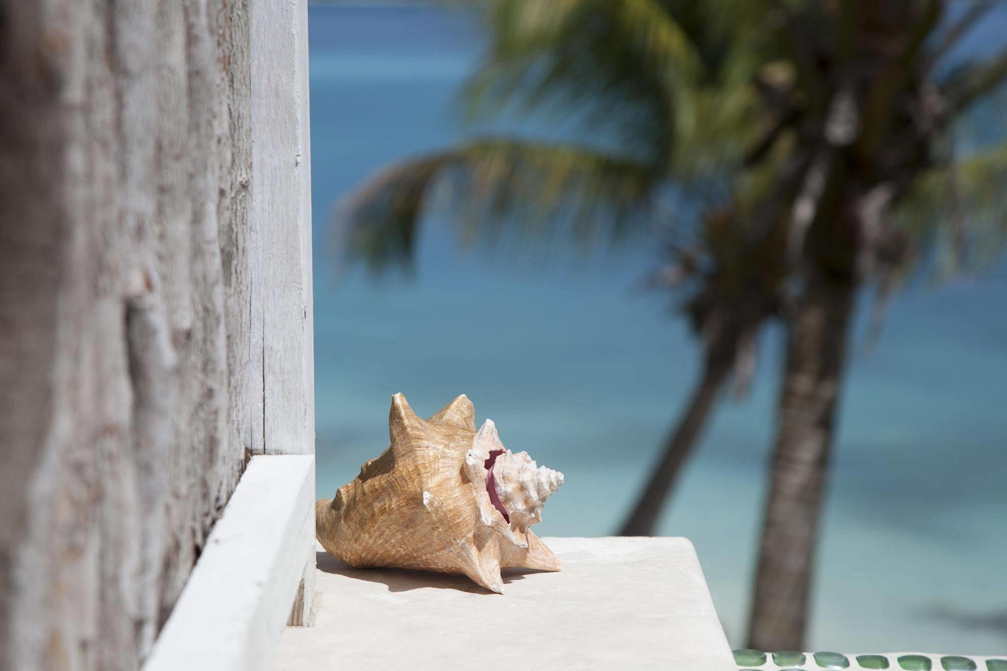 Cocobay Resort Antigua (Adults Only) Johnson's Point Exteriör bild