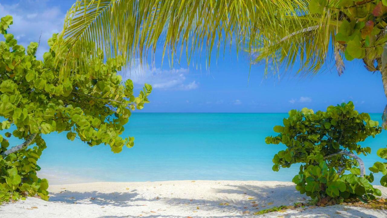 Cocobay Resort Antigua (Adults Only) Johnson's Point Exteriör bild